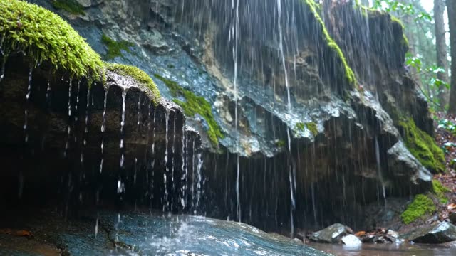 Shallow cave mouth with drips from moss-fringed lip