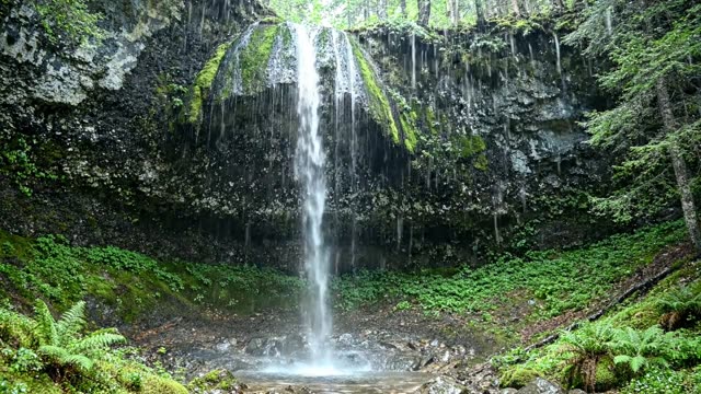 Thin veil waterfall sheeting down a moss-covered cliff