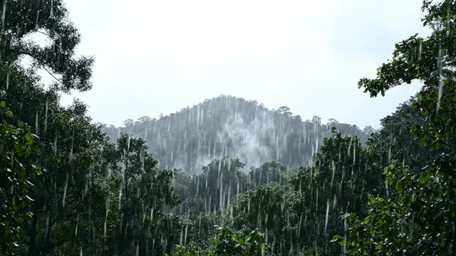 A distant hilltop of dark forest barely visible in rain