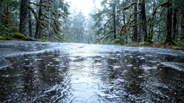 Rain on a flat expanse of dark wet granite outcrop