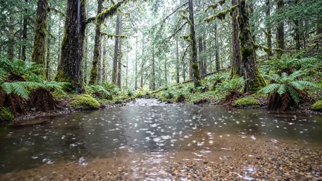 A dark stream pool with a sand bottom in rain
