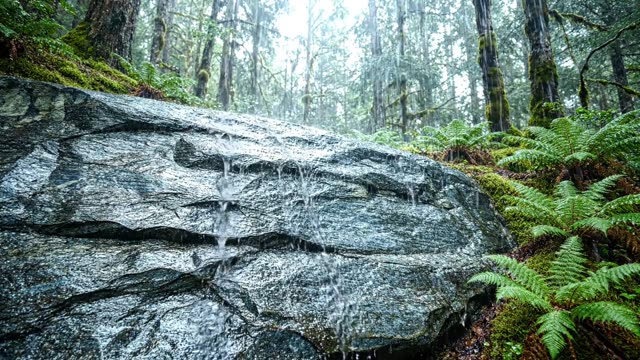A flat schist rock face sheeting with water films