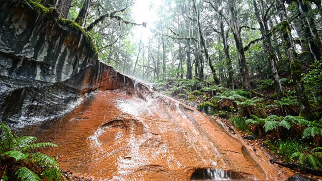 Rain on a section of old red sandstone cliff in forest