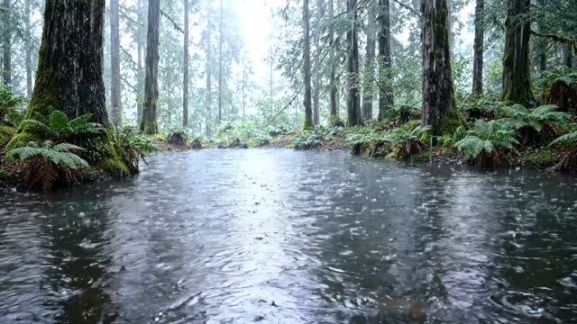 A series of rain rings intersecting in a perfect geometry
