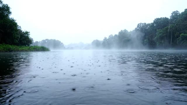 A slow forward glide over a still pond toward a misty far shore in rain