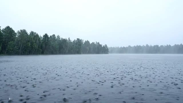 A wide misty lake with a far wooded shore in steady rain