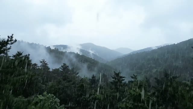 A slow rise above a misty forested ridge as rain falls through grey cloud